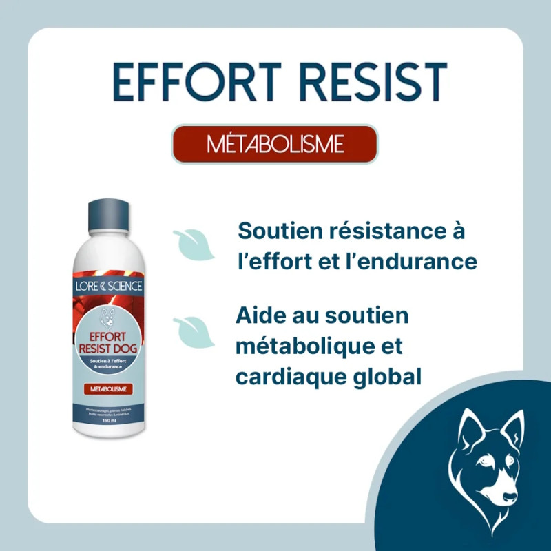 Effort & Résistance Dog : Vitalité et Soin Naturel Chien